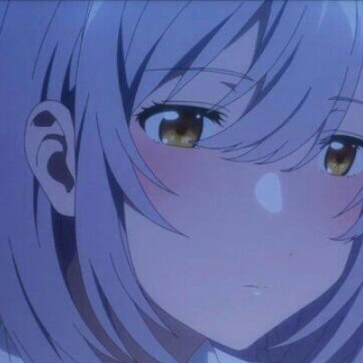 狗狗高度近视主人花800元给配眼镜